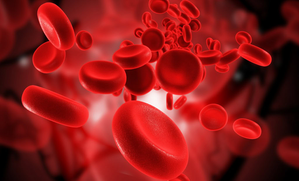 Controlar o Açúcar no Sangue 1 | Dicas de Saúde
