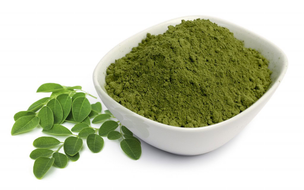 pó de Moringa-1 | Dicas de Saúde