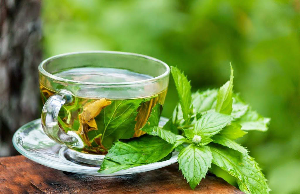Chá Detox de Eucalipto Para Tratar Rinite e Sinusite | Dicas de Saúde
