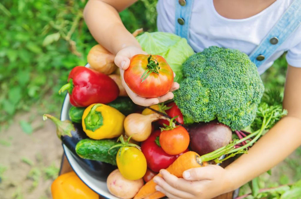 alimentos que ajuda aliviar os sintomas de resfriado | Dicas de Saúde alimentos que ajuda aliviar os sintomas de resfriado
