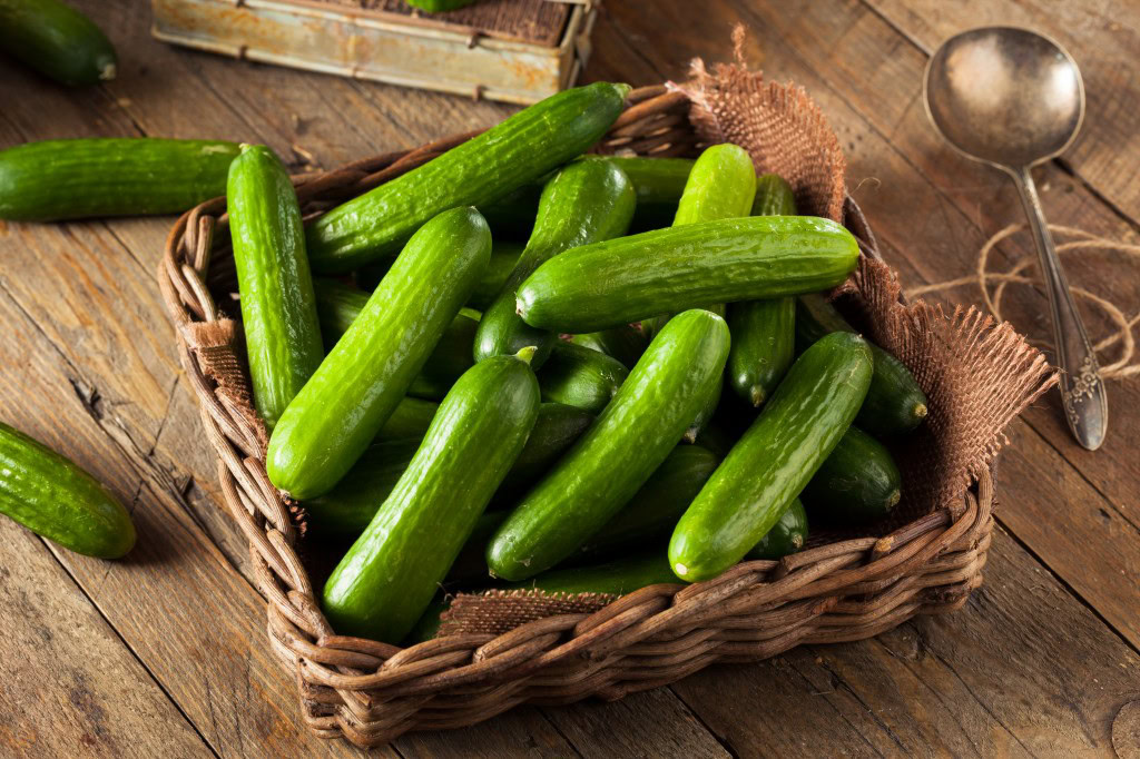 Pepino-1 | Dicas de Saúde Pepino-1