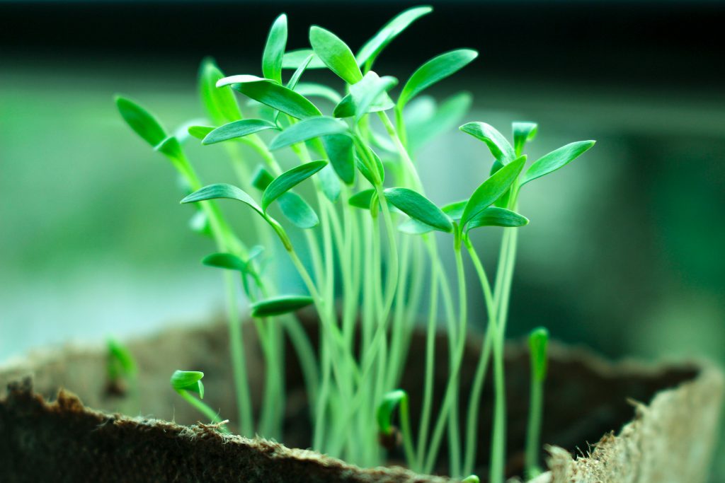 Sage Intacct Quickbooks