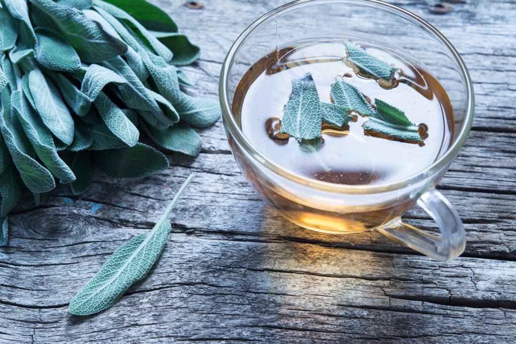 chá detox de salvia para ansiedade | Dicas de Saúde