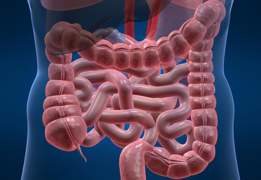 Síndrome do Intestino Curto | Dicas de Saúde