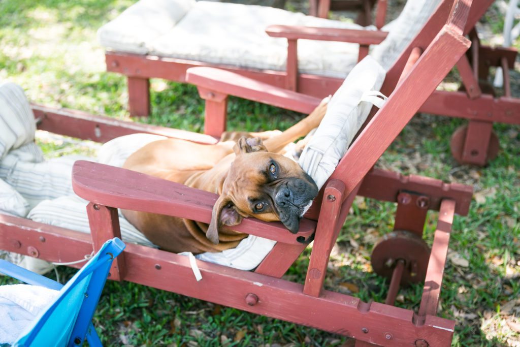 Fun family portraits in Florida by portrait photographer, Kelly Williams