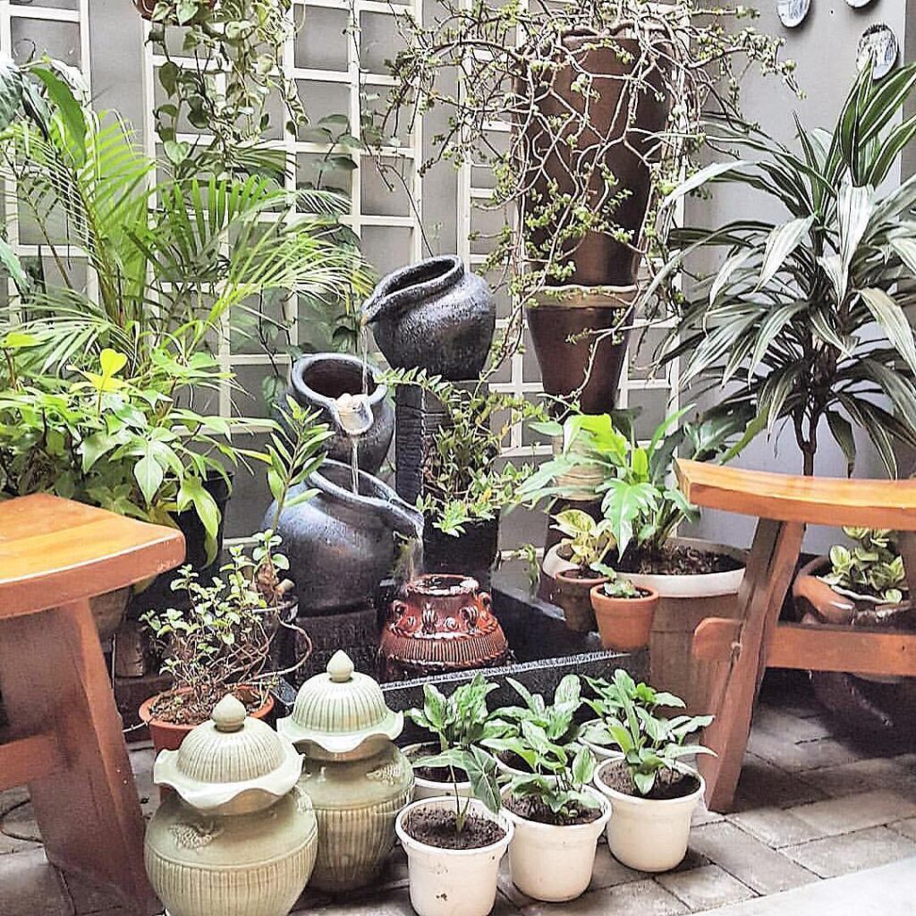 Taman Belakang Rumah dengan Air Mancur Taman Belakang Rumah dengan Air Mancur