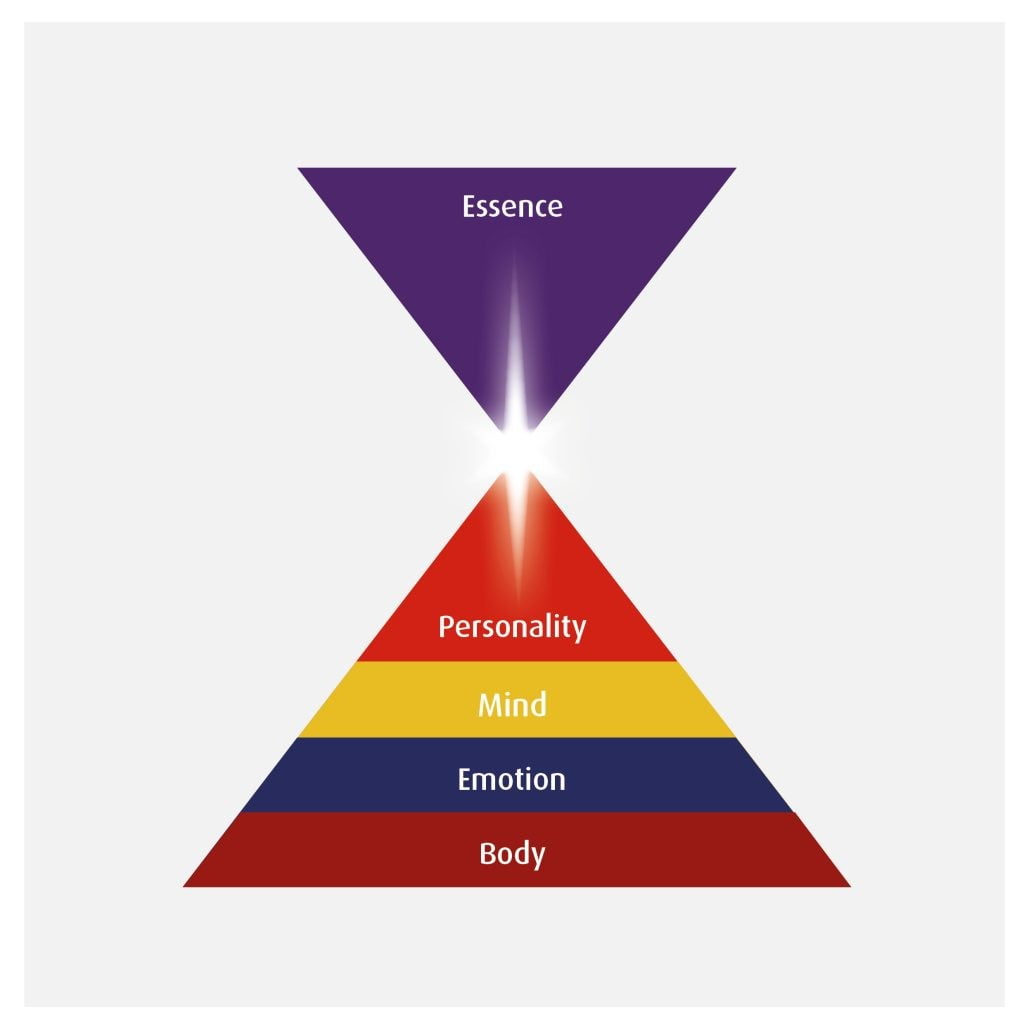 Integral Meditation and the five psychological levels Integral Meditation and the five psychological levels