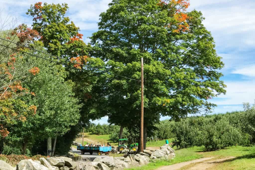 Apple Picking and More at Berlin Orchards | Berlin, MA. #newengland #appleorchard #applepicking #autumn #fall #newenglandtravel