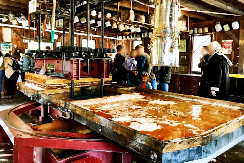 Cider Mill, CT - Visit BF Clyde's Cider Mill in Old Mystic, CT for the best apple cider and cider donuts anywhere! This 137-year-old steam powered cider mill (the oldest in the US) is a must if you're in Southestern CT in the fall. #clydescidermill #newengland #connecticut #mysticct #newenglandtravel #connecticuttravel #thingstodoinct #fallinct #fallinnewengland