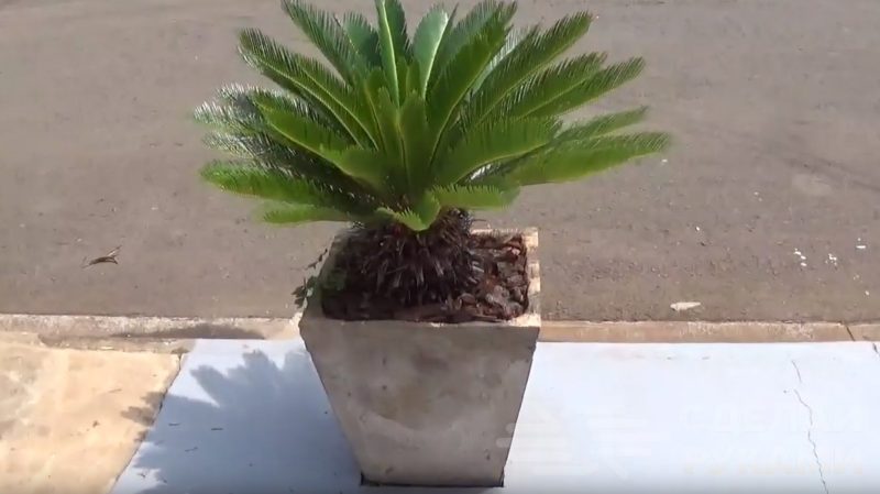 Как сделать вазон из цемента без заливки Как сделать вазон из цемента без заливки Самоделки