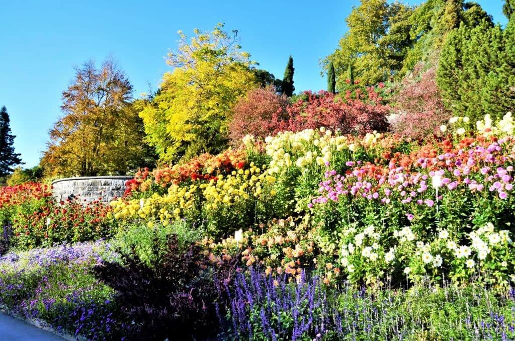Blumen auf der Insel Mainau