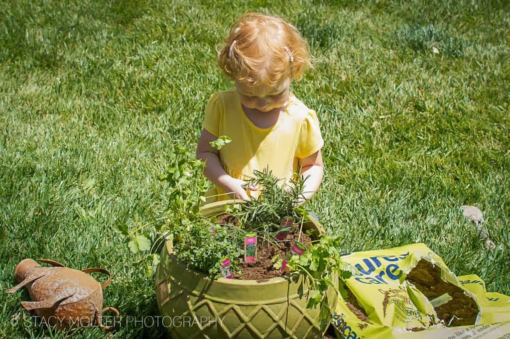 herb garden