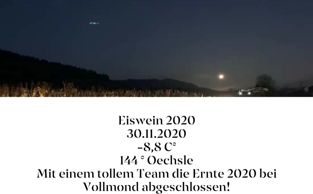 Blees Ferber Eiswein