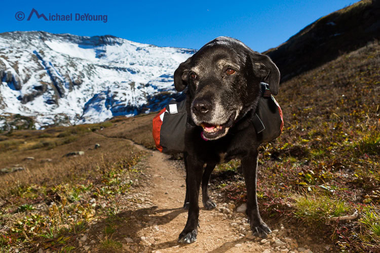 Backpacking With Your Dog
