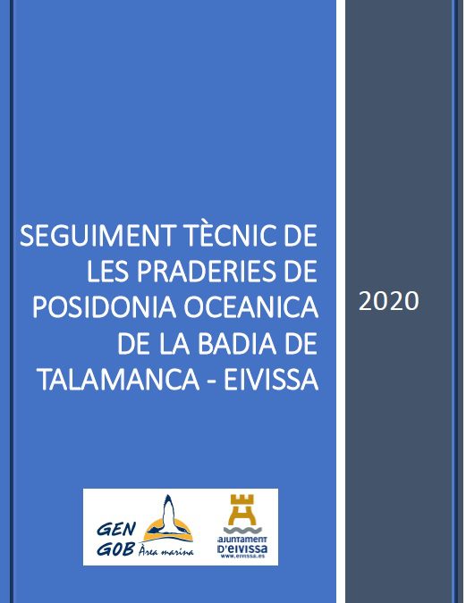 Informe Posidonia Talamanca 2020