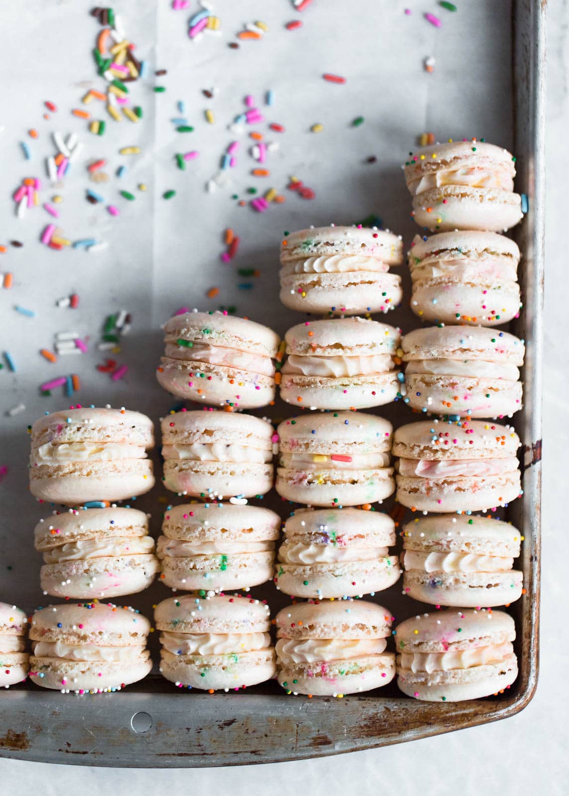 Cake Batter Macarons Broma Bakery