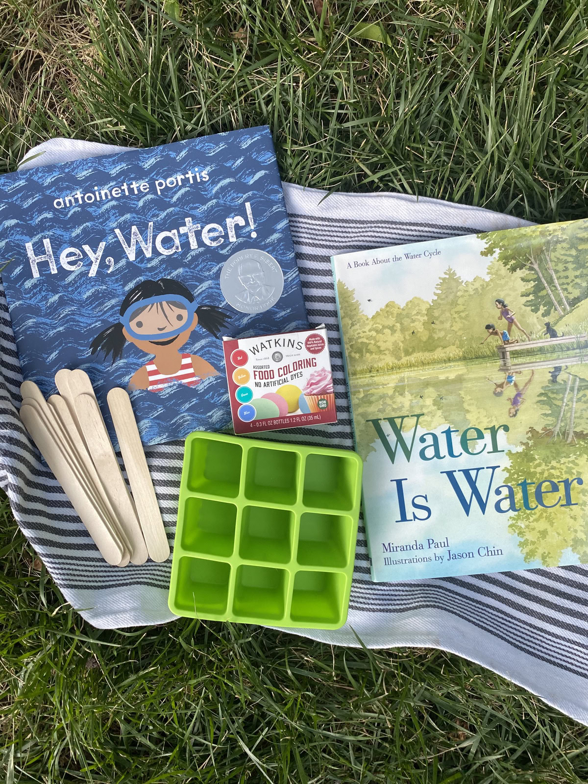 Water Science and Ice Cube Painting WinterKids 2539