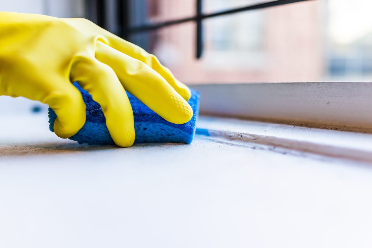 Things you are forgetting to clean-gloved hand holding sponge cleaning windowsill