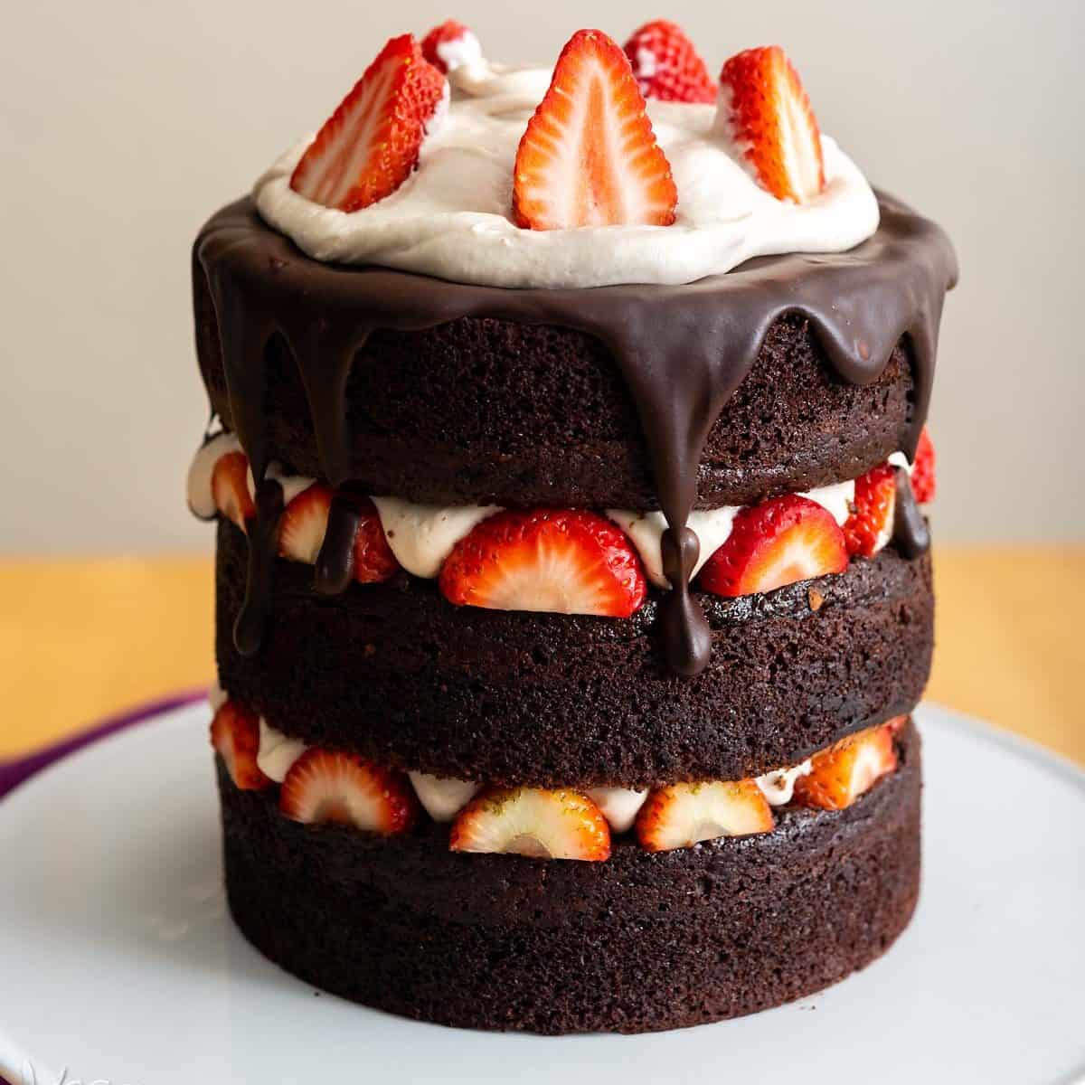 Decadent, dreamy, and absolutely delicious! This vegan chocolate layer cake is perfect for sharing with loved ones, on special occasions. #vegan #valentinesday #chocolatecake #veganyackattack
