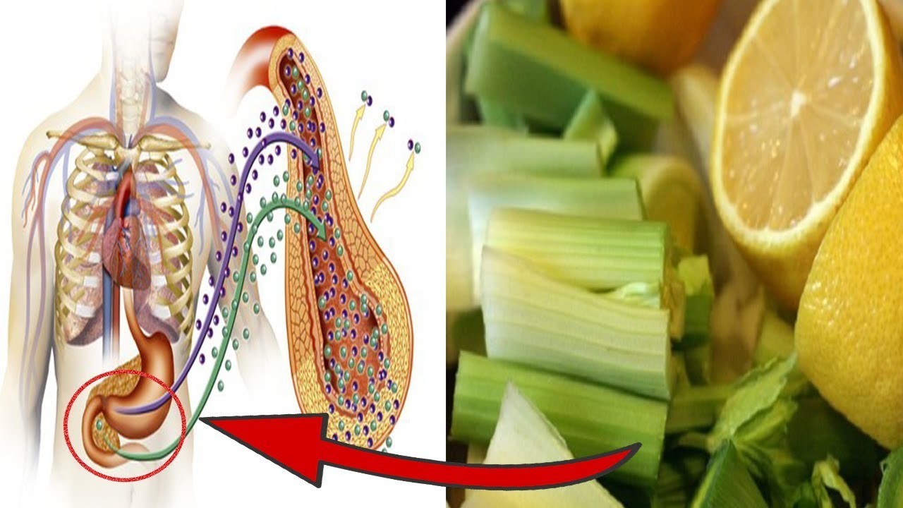 Receita Caseira Para Controlar a Diabetes | Dicas de Saúde