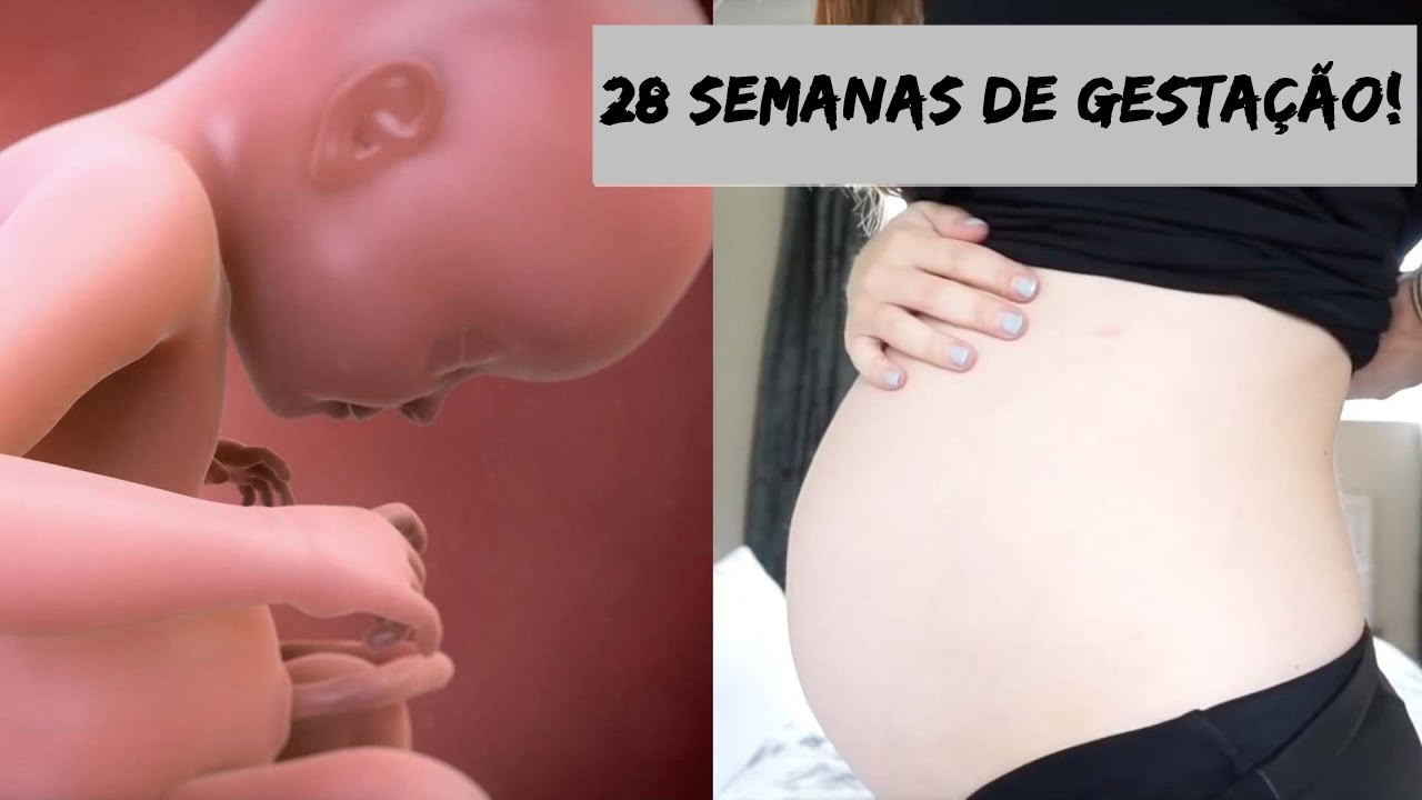 28 semana de gestaçao | Dicas de Saúde 28 semana de gestaçao