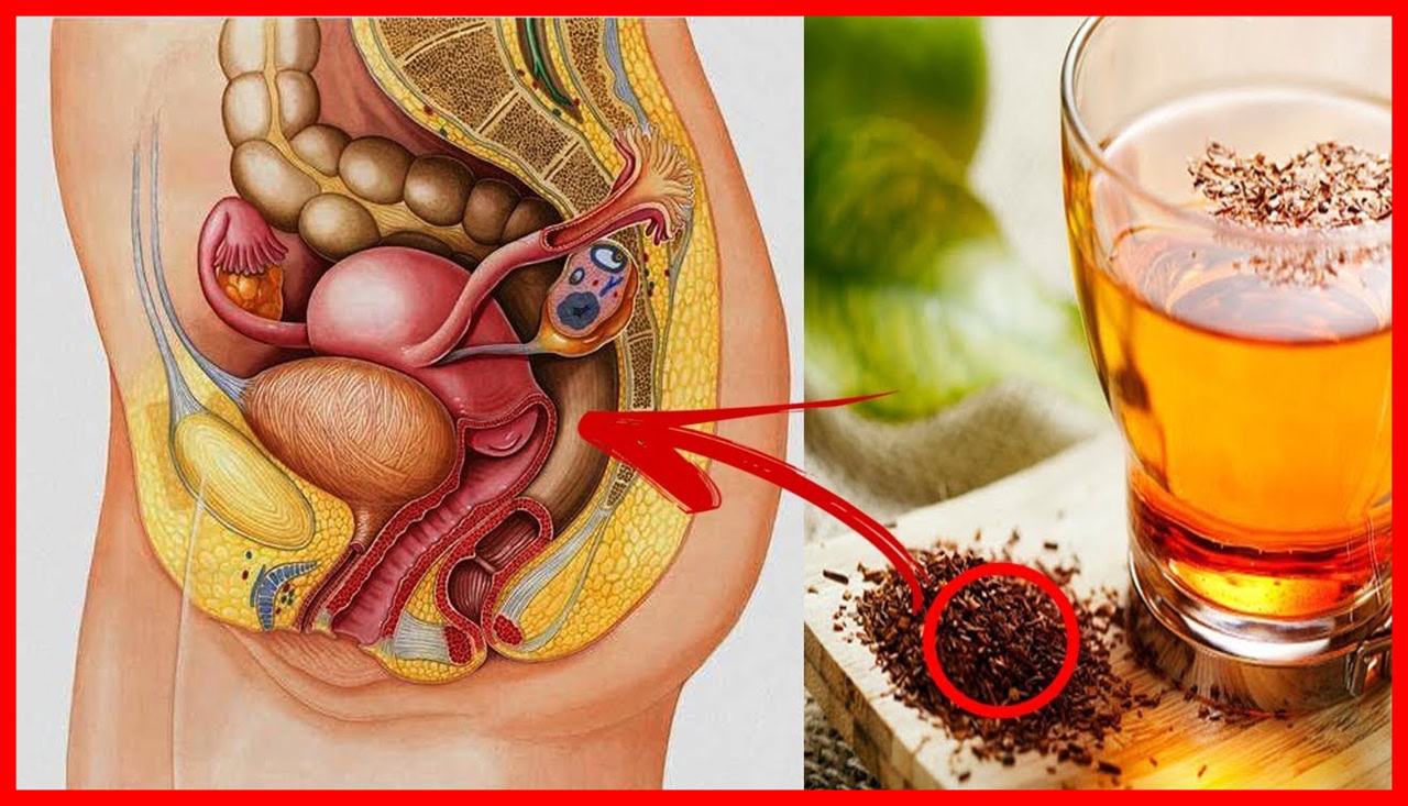 chas para fazer a menstruaçao descer na hora | Dicas de Saúde chas para fazer a menstruaçao descer na hora