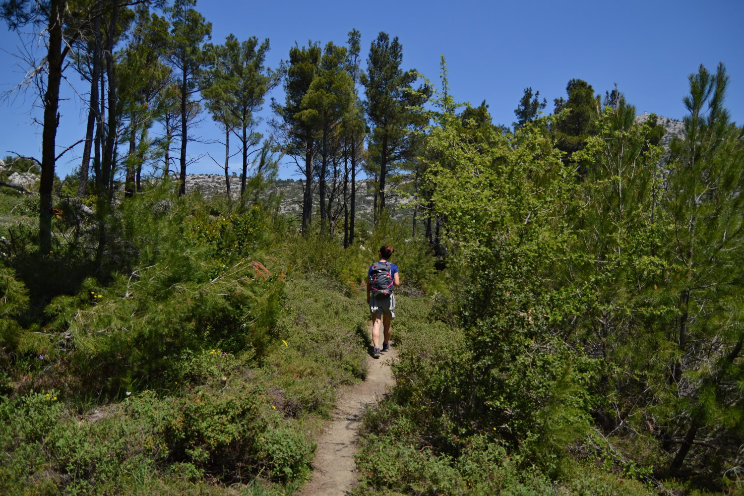 Agios Georgios Keramidiou Hike (12)