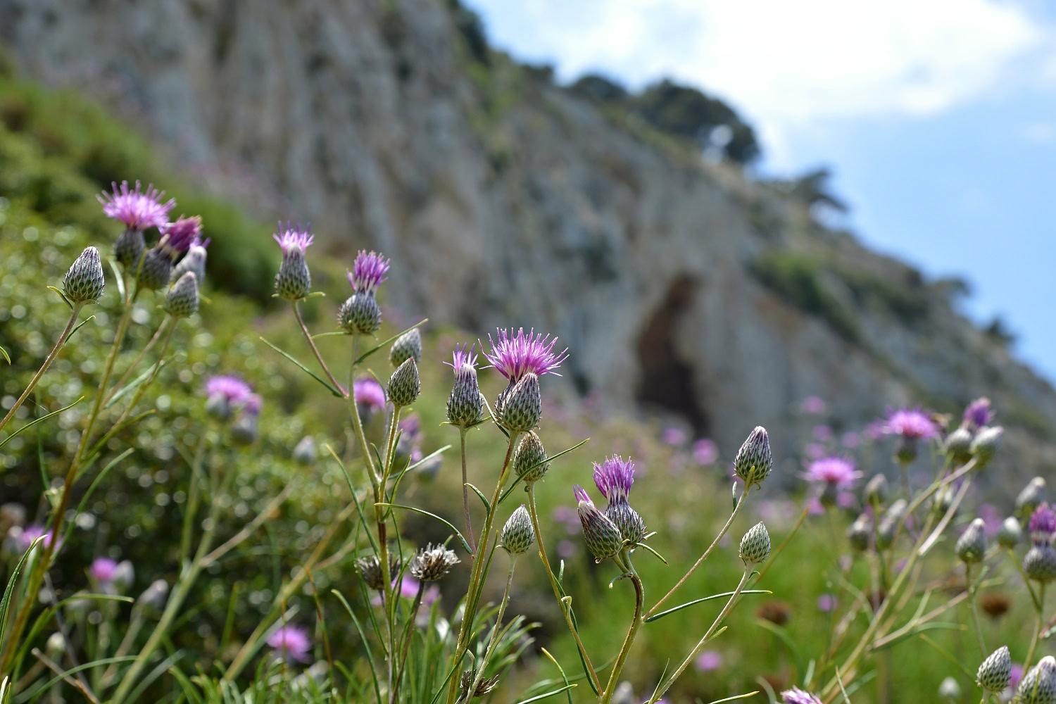 Trypia Cave, Southern Hymettus