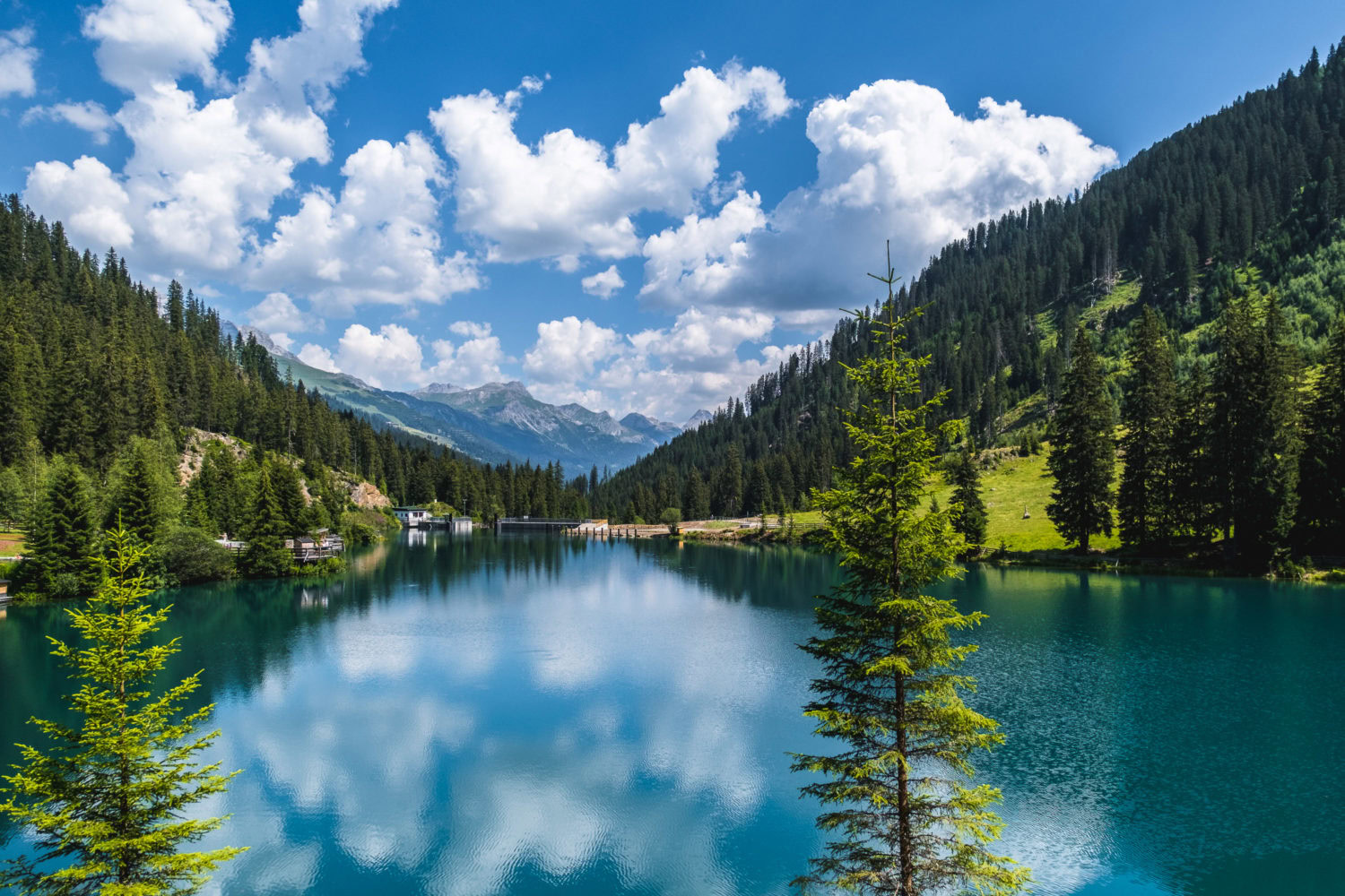 Verwallsee von Bäumen eingerahmt auf der Verwallrunde