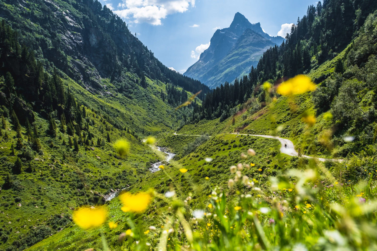 Wanderweg im Verwall neben einem Fluss mit Bergen im Hintergrund