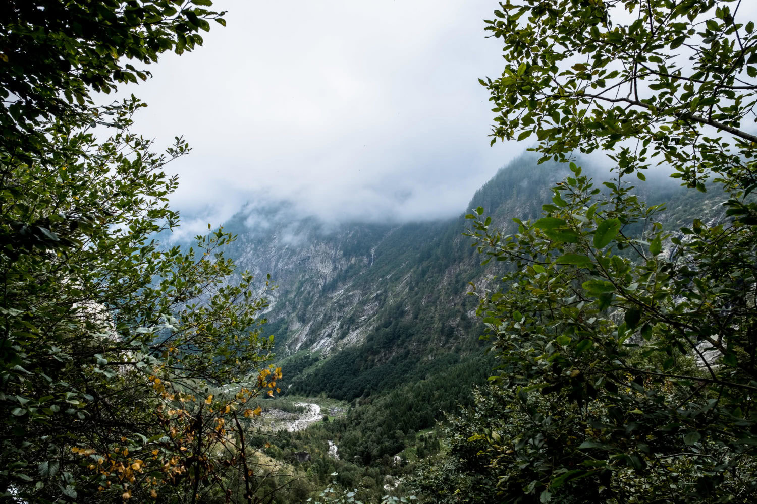 Bäume geben zwischen den Blättern den Blick ins Val Bavona frei