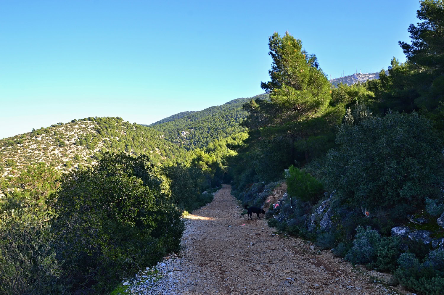 A tricky crossroad on the way to Anthousa Tower.