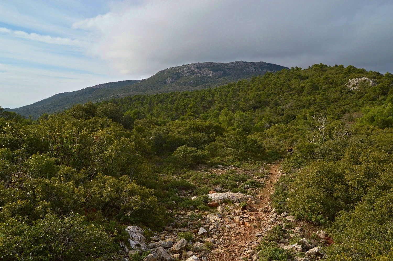 View of Xerovouni Summit, Parnitha, Greece