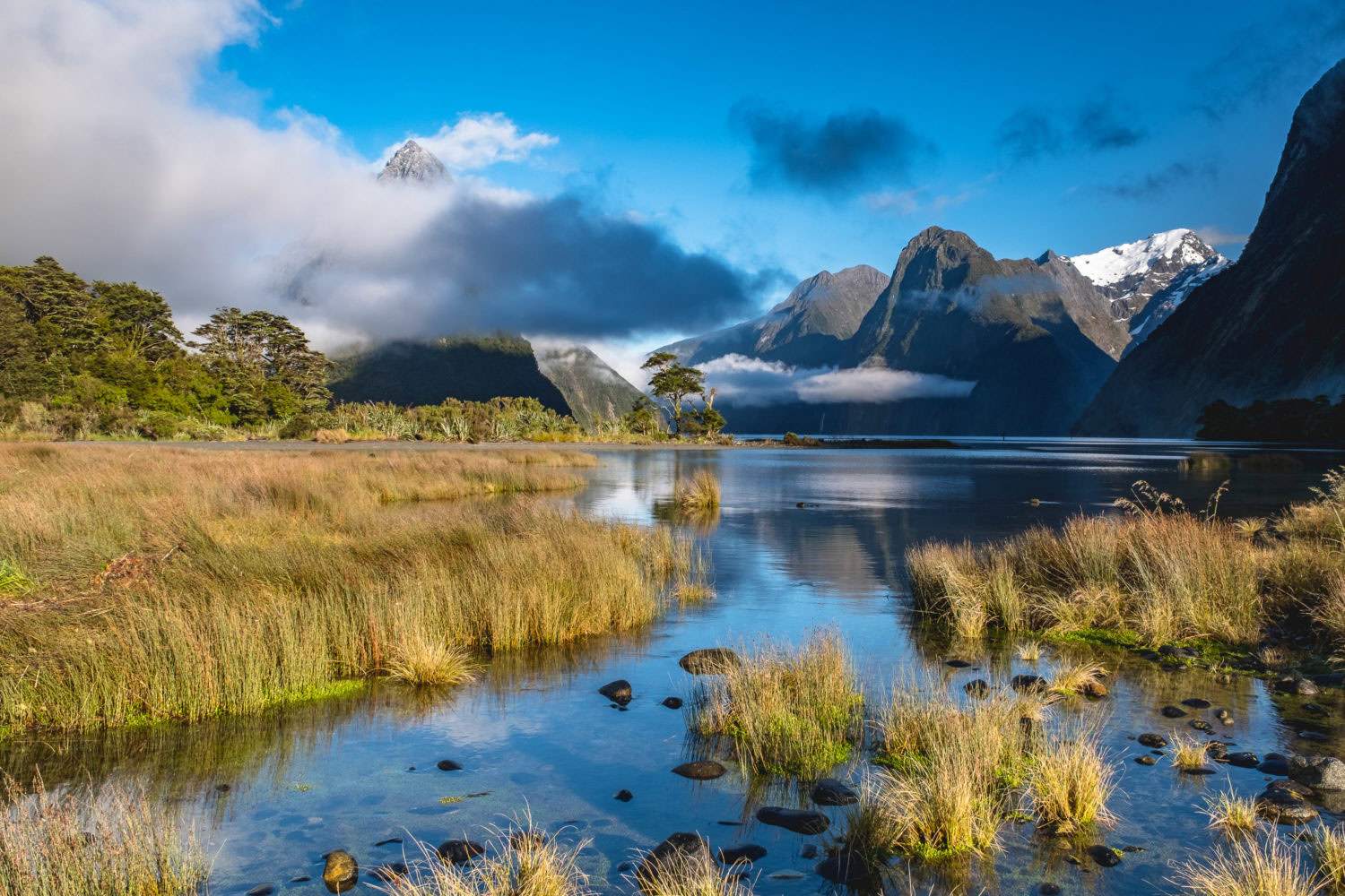 Milford Sound & Mitre Peak