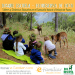 Jornada de Bosque Escuela en la Eco Reserva