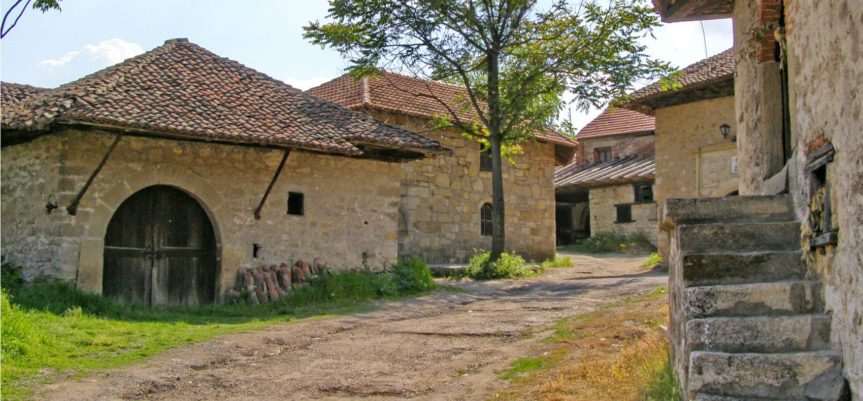 Rajačke pimnice