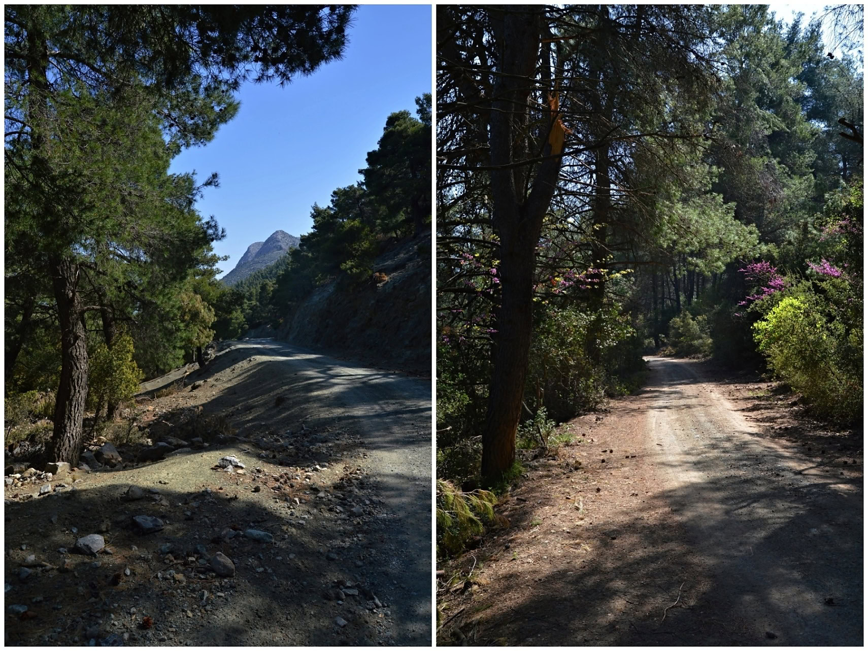 The hike follows mostly dirt roads and wide paths with little elevation.