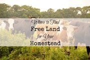 Where to Find FREE Land for a Homestead (hint: think Kansas)