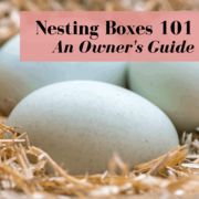 Chicken Nesting Boxes: Owner's Guide