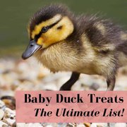 "What Do Baby Ducks Eat" Ultimate List Of Treats, Feed, Fruits, & Vegetables