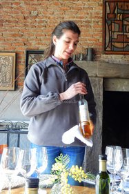 Visita à vinícola Juanicó, Uruguai Visita à vinícola Juanicó, Uruguai