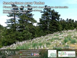 Senderismo por los pinsapares de Yunquera