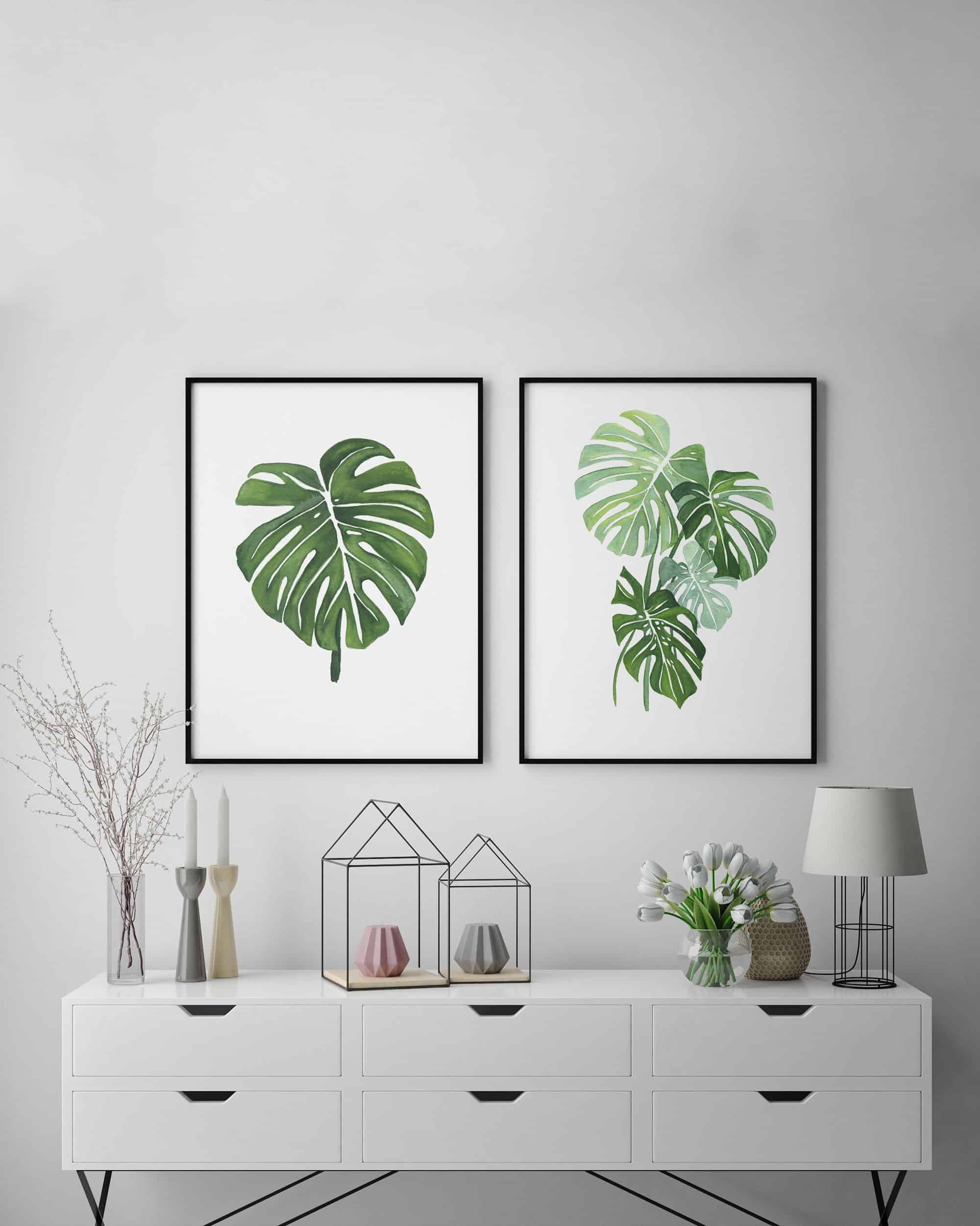 monstera obraz