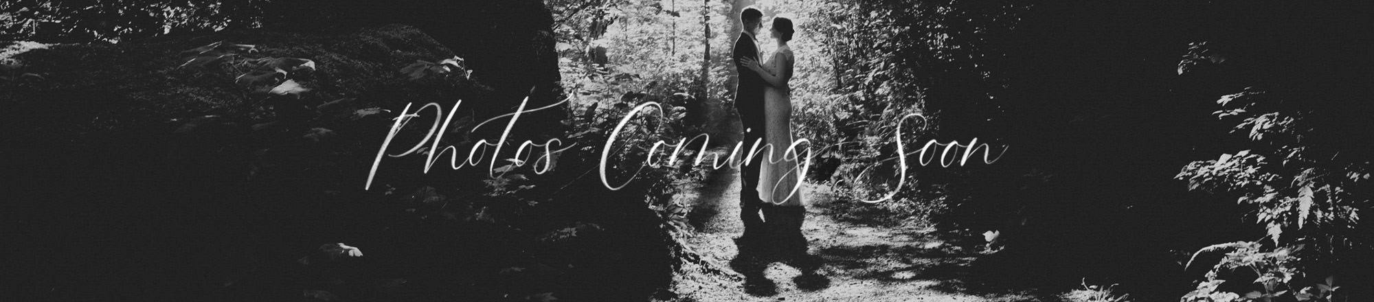 Dating Photography In North Highlands California