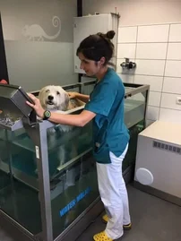 soins adaptés pour les animaux