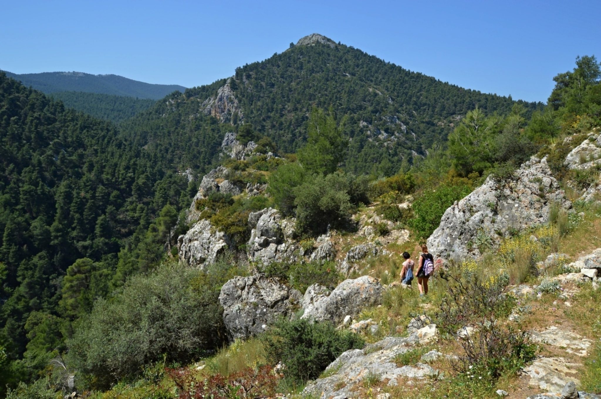 Hiking to Agia Marina on Mount Parnitha