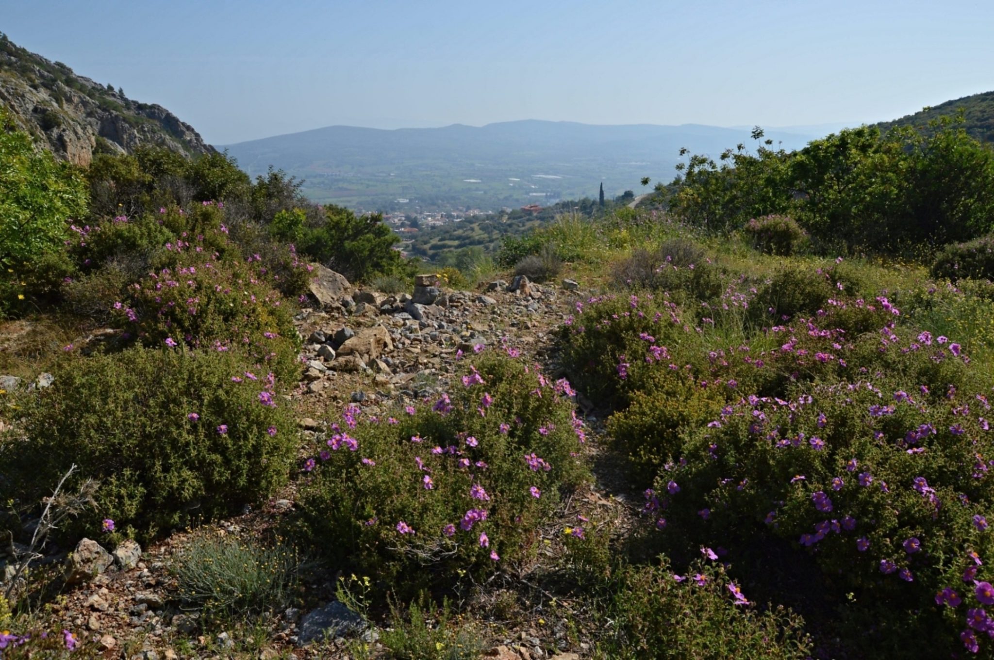 Morning view of Avlona