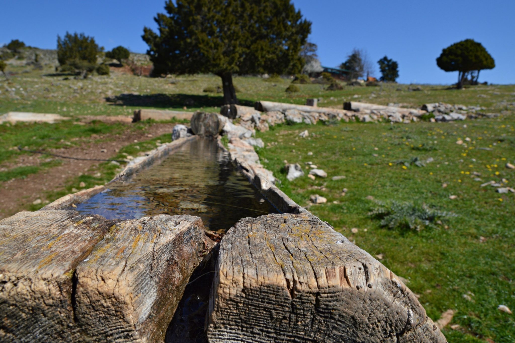 Hiking in Delphi, Greece
