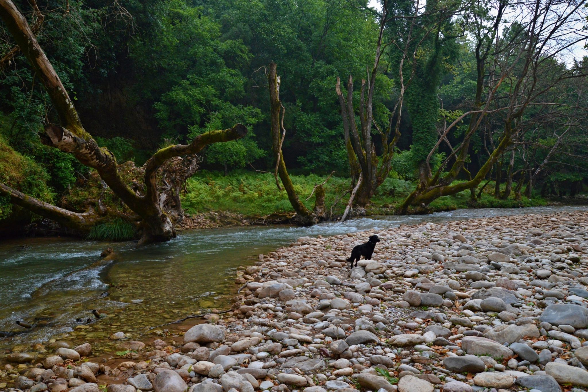 Erymanthos river on the borders of Ilia and Arcadia, Peloponnese, Greece