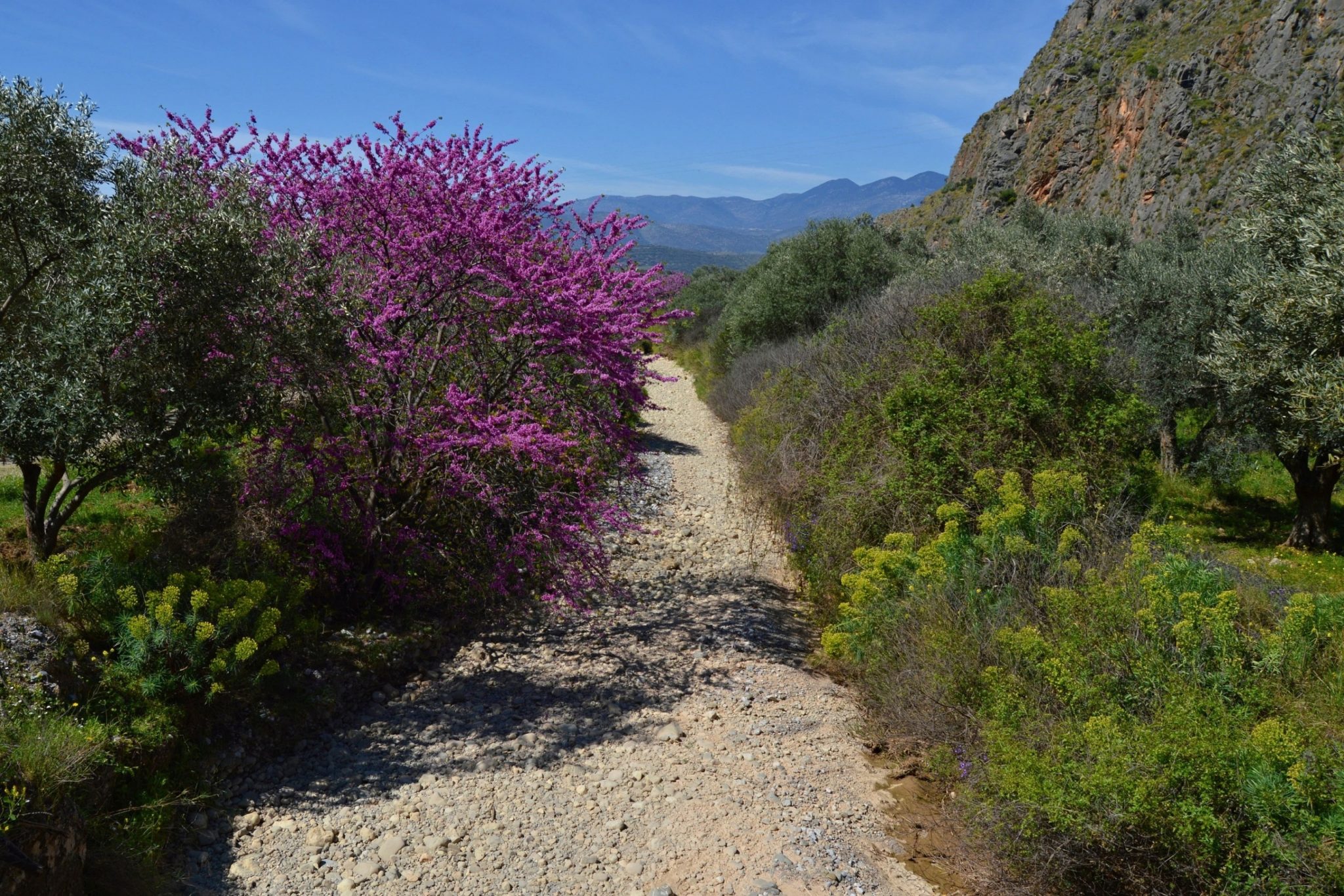 Hiking at Chrisso near Delphi, Mount Parnassos, Greece